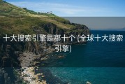 十大搜索引擎是哪十个 (全球十大搜索引擎)