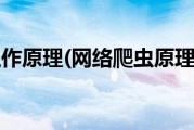 网站爬虫是什么意思 (网站 爬虫)