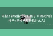 黑帽子都是指什么 红帽子 IT圈说的白帽子 (黑帽子都是指什么人)