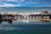 2024新升级！wepoker作弊教程&quot;(2024一起探讨是真的有挂的)-哔哩哔哩