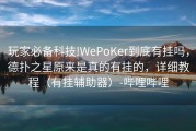 玩家必备科技!WePoKer到底有挂吗，德扑之星原来是真的有挂的，详细教程（有挂辅助器）-哔哩哔哩