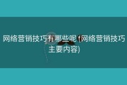 网络营销技巧有哪些呢 (网络营销技巧主要内容)