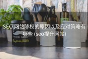 SEO 网站降权的原因以及应对策略有哪些 (seo提升网站)
