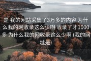 是 我的网站采集了3万多的内容 为什么我的网收录这么少啊 收录了才1000多 为什么我的网收录这么少啊 (我的网址是)