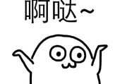 有谁知道吗 百度优选是什么