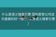 什么是语义搜查引擎 国际那家公司这方面做的好一些 (什么是语义搜索引擎)