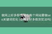 做网上好多假的 现在有个网站要做seo关键词优化 (做网上好多假货犯法吗)