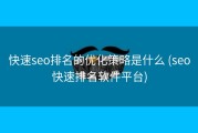 快速seo排名的优化策略是什么 (seo快速排名软件平台)