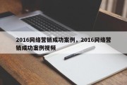 2016网络营销成功案例，2016网络营销成功案例视频