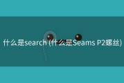 什么是search (什么是Seams P2螺丝)