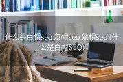 什么是白帽seo 灰帽seo 黑帽seo (什么是白帽SEO)
