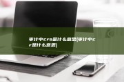 审计中cro是什么意思 (审计中cr是什么意思)