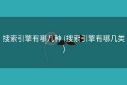 搜索引擎有哪几种 (搜索引擎有哪几类)