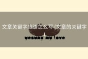 文章关键字应该怎么写 (文章的关键字)