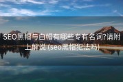 SEO黑帽与白帽有哪些专有名词?请附上解说 (seo黑帽犯法吗)