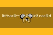 推行seo是什么意思 怎样做 (seo是推广吗)