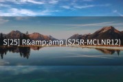 S[25] R&amp;amp (S25R-MCLNR12)