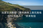 玩家实测教程“蜀州麻将上高究竟有挂吗!太坑人了“原来有挂