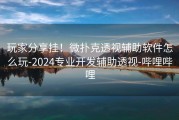 玩家分享挂！微扑克透视辅助软件怎么玩-2024专业开发辅助透视-哔哩哔哩