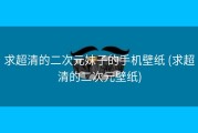 求超清的二次元妹子的手机壁纸 (求超清的二次元壁纸)