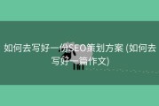 如何去写好一份SEO策划方案 (如何去写好一篇作文)