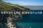 经营包含什么岗位 (经营包含什么内容)