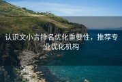 认识文小言排名优化重要性，推荐专业优化机构