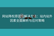网站降权原因及解决方法：站内站外因素全面解析与应对策略