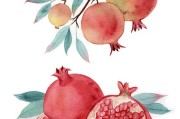 探索20种插画风格：提升品牌设计的视觉表现力与情绪感染力