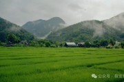 玄学获客必看！网站推广、SEO优化与内容营销全攻略大揭秘