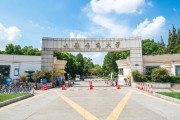 上海有哪些专业的网站设计公司 (上海有哪些专科学校可以专升本)