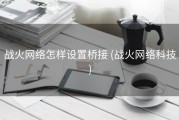 战火网络怎样设置桥接 (战火网络科技)