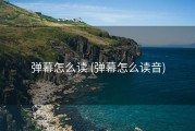弹幕怎么读 (弹幕怎么读音)