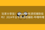 玩家分享挂！wepoker有透视辅助挂吗！2024平台专用透视辅助-哔哩哔哩
