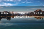 百度seo怎样把关键词提升下来 (百度seo怎么查排名)
