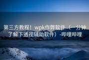 第三方教程！wpk作弊软件（一分钟了解下透视辅助软件）-哔哩哔哩
