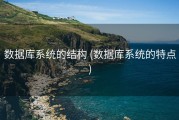 数据库系统的结构 (数据库系统的特点)