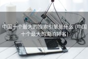 中国十个最大的搜索引擎是什么 (中国十个最大的湖泊排名)