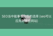 SEO当中能事半功倍的选择 (seo可以应用到哪些网站)