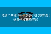 选哪个关键词seo优化公司比较靠谱 (选哪个关键词好听)