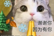 有哪些 谢谢 网站 特勤的正轨软件 专门招聘保安 非诚勿扰 (有哪些谢谢网友的句子)