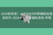2024新研发！AAPOKER作弊辅助挂透视软件-2024专业开发辅助透视-哔哩哔哩