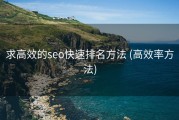 求高效的seo快速排名方法 (高效率方法)