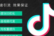 抖音seo关键词提升怎样不要钱 (抖音seo关键词优化怎么做)