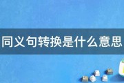 什么同义句转换器比拟好用 (什么同义句转换成英语)