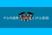 什么叫语用 什么叫语义 (什么是语)
