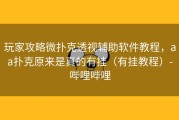 玩家攻略微扑克透视辅助软件教程，aa扑克原来是真的有挂（有挂教程）-哔哩哔哩