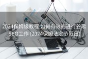 2024保姆级教程 如何有效的进行谷歌SEO工作 (2024保姆法定节假日)