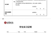 大在校生实习报告 seo实习总结范文 (在校生实习简历模板)