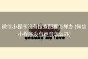 微信小程序没有搜查配置怎样办 (微信小程序没有声音怎么办)